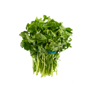 Watercress