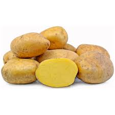 Yukon Gold Potato